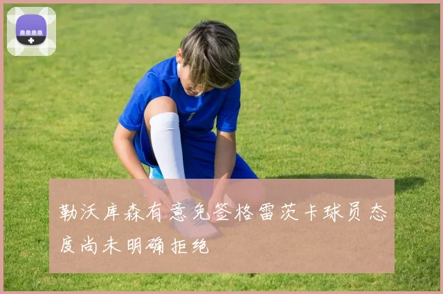 勒沃库森有意免签格雷茨卡球员态度尚未明确拒绝
